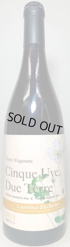 画像1: カンティーナ ジーオセット　チンクエウーヴァ ドゥエテッレ 2019　《赤》 (1)