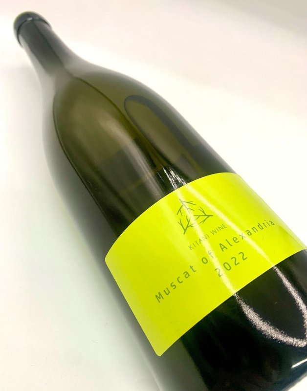 画像4: 木谷ワイン　マスカットオブアレキサンドリア2022　(白) (4)