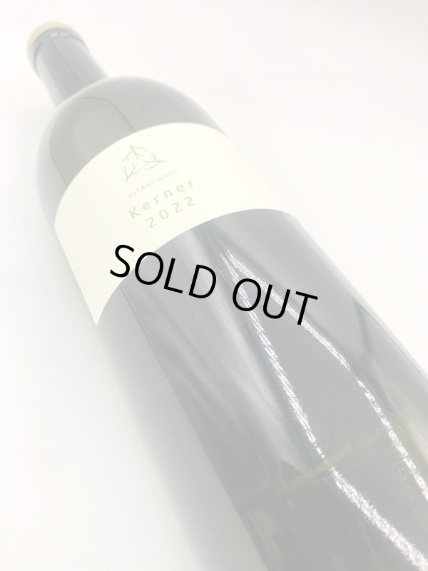 画像4: 木谷ワイン　ケルナー2022(フリーラン、樽熟成)　(白) (4)