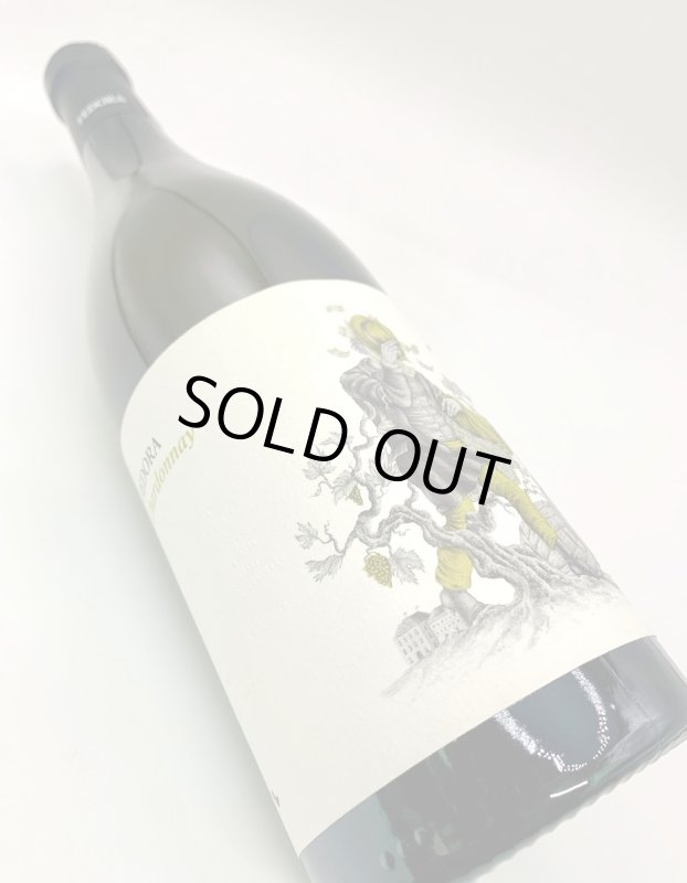 画像6: フェドラ　シャルドネ 2016　(白) (6)