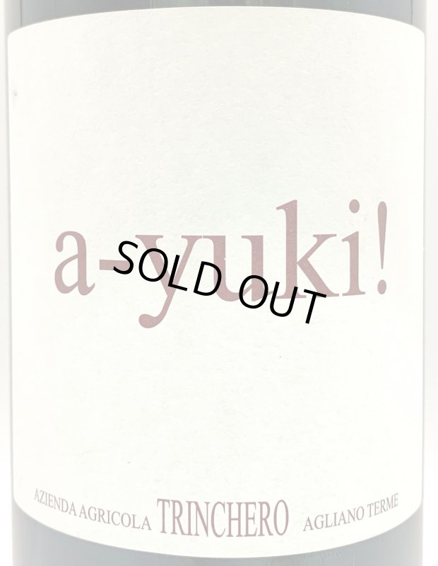 画像2: トリンケーロ　アユーキ 2014 (2)