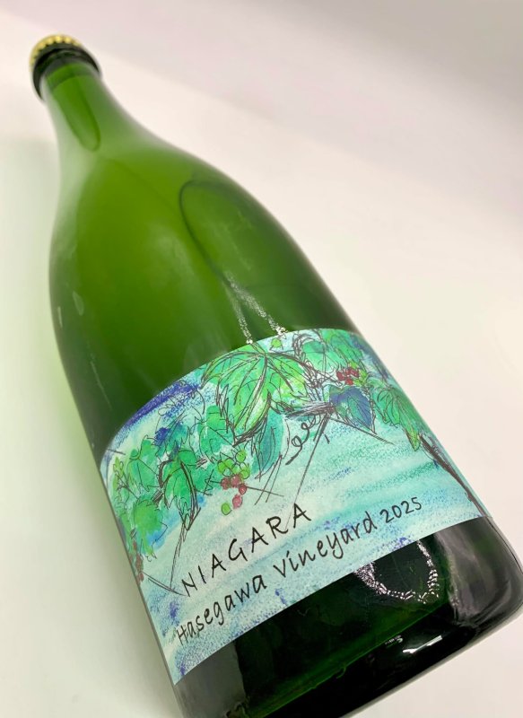 画像4: さっぽろ藤野　NIAGARA Hasegawa vineyard 2025　《泡・白》 (4)