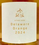 画像2: 木谷ワイン　デラウェアオレンジ 2024 (2)