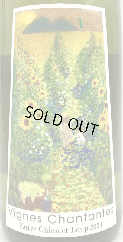 画像2: 宮本ヴィンヤード　ヴィーニュ・シャンタント アントル・シヤン・エ・ルー 2024　《醸し系》 (2)