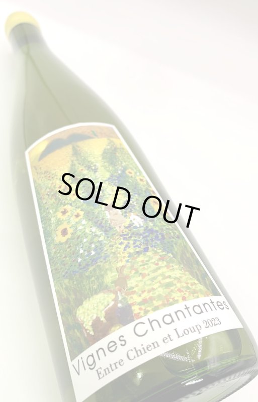 画像4: 宮本ヴィンヤード　ヴィーニュ・シャンタント アントル・シヤン・エ・ルー 2023　《白》 (4)